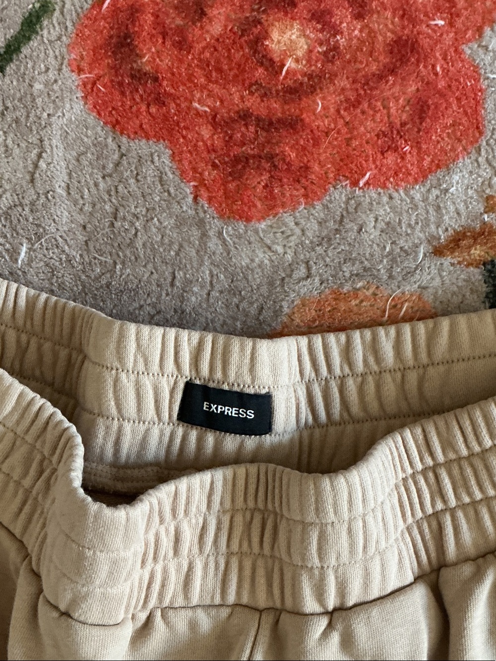 Express Beige Wide-Leg Track Pants with White Side Stripes - Picture 2 of 3